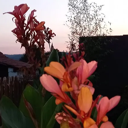 Skriveni Raj Country house Gornji Milanovac