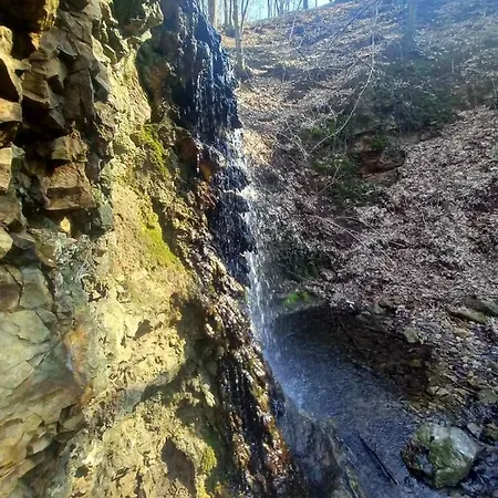 Country house Skriveni Raj Gornji Milanovac