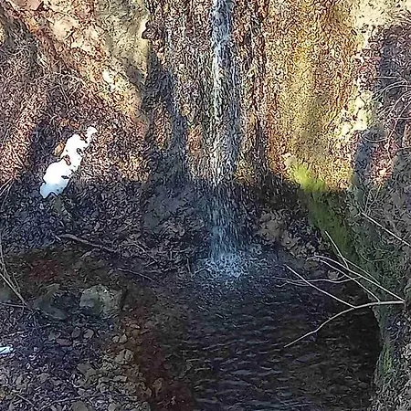 Skriveni Raj Country house